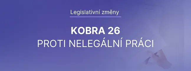 KOBRA 26: Průlom v boji proti nelegální práci